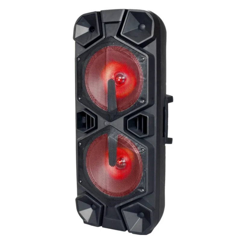 Temeisheng Dual 10inch Bluetooth Party Box with Powerful Speaker
