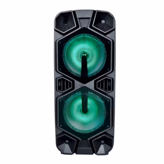 Temeisheng Dual 10inch Bluetooth Party Box with Powerful Speaker
