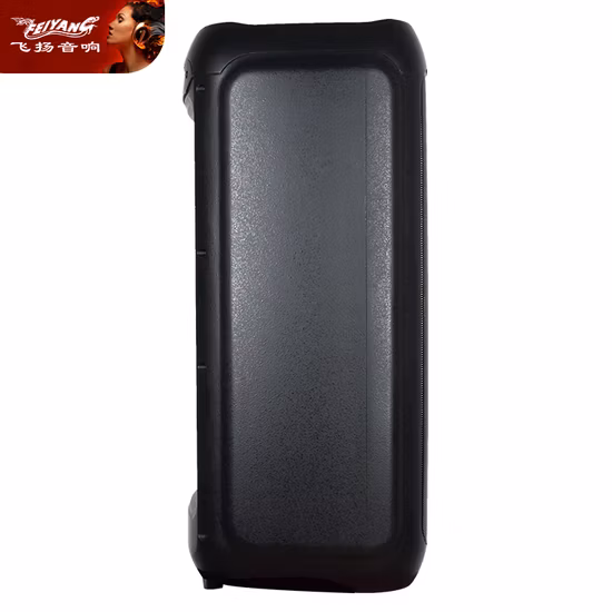 Feiyang Portable Bluetooth Rechargeable Speaker Box Double 8 Inch